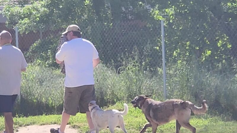 Off the Leash Dog Park - Yuba City, CA