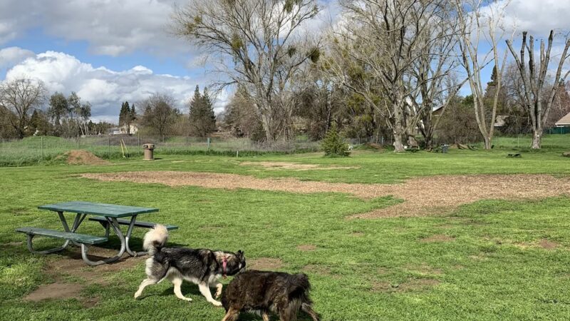 Off the Leash Dog Park - Yuba City, CA