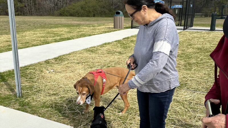 Pilot NC Lions Dog Park - Zebulon, NC