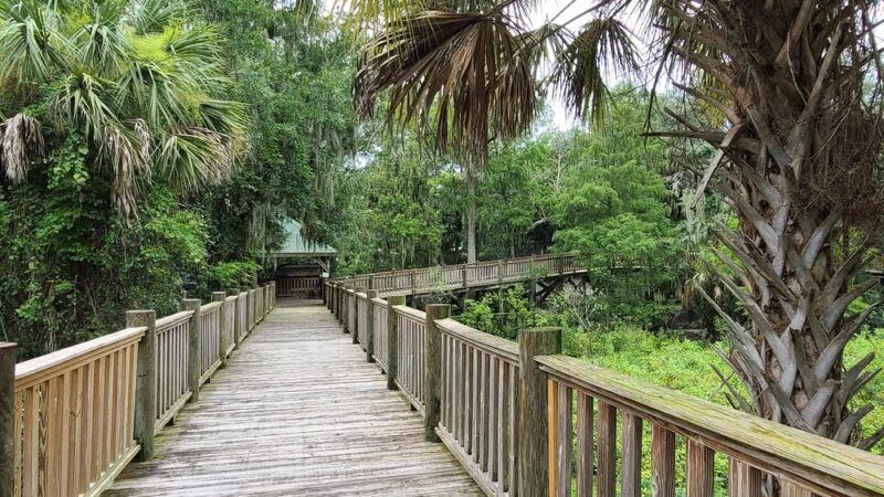 Hardee County Wildlife Refuge - Zolfo Springs, FL
