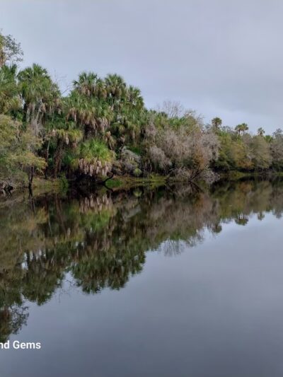 Hardee County Wildlife Refuge - Zolfo Springs, FL