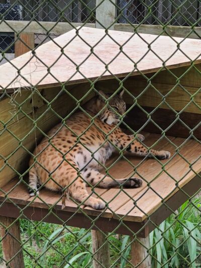 Hardee County Wildlife Refuge - Zolfo Springs, FL