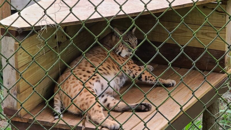 Hardee County Wildlife Refuge - Zolfo Springs, FL