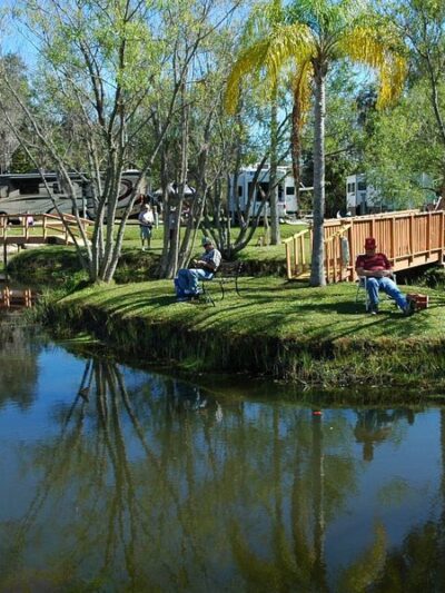 Oasis At Zolfo Springs - Zolfo Springs, FL