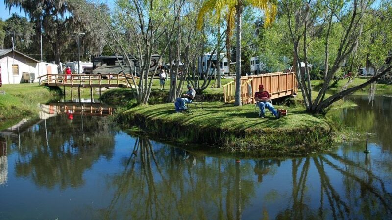 Oasis At Zolfo Springs - Zolfo Springs, FL