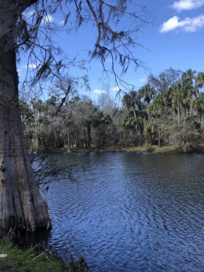 Pioneer park - Zolfo Springs, FL