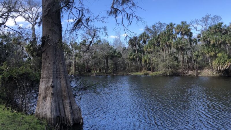 Pioneer Park - Zolfo Springs, FL