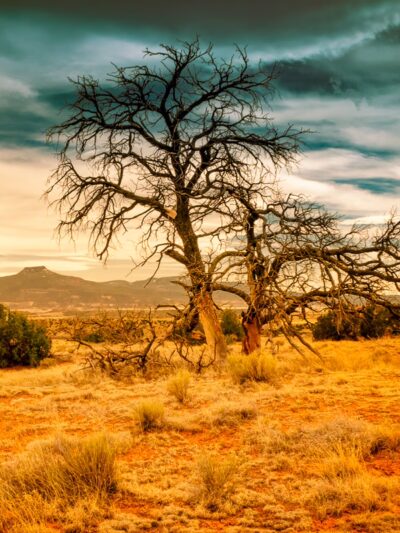 Ghost Ranch - Abiquiu, NM