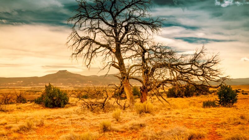 Ghost Ranch - Abiquiu, NM