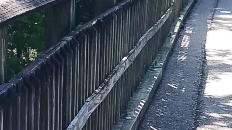Abita Springs Park - Abita Springs, LA