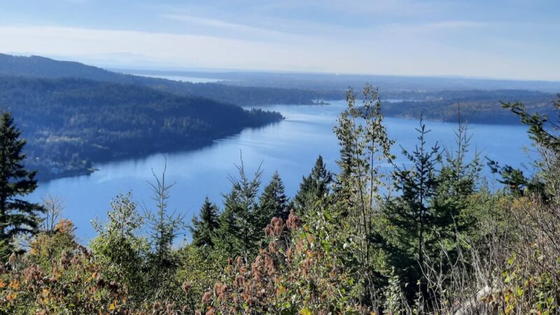 Chanterelle Trailhead - Acme, WA