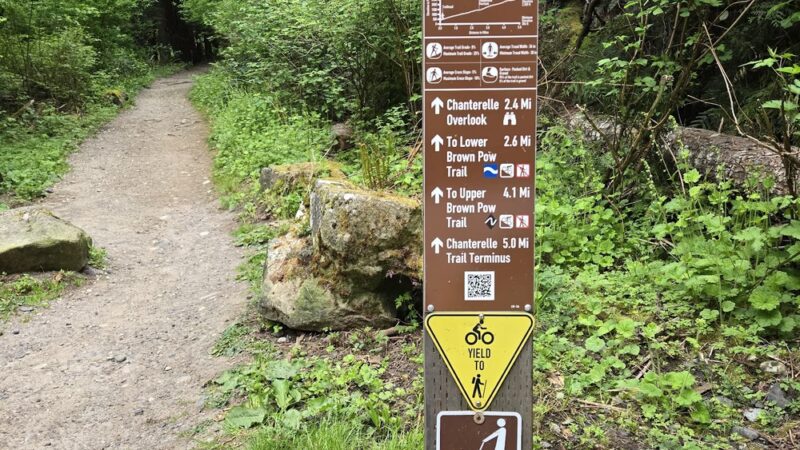 Chanterelle Trailhead - Acme, WA