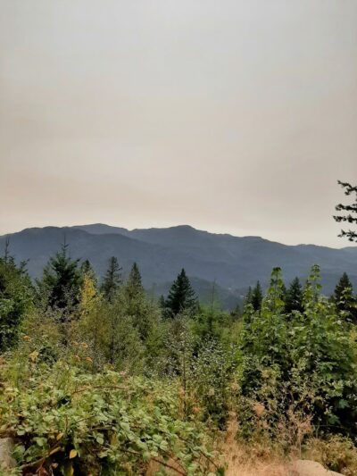 Chanterelle Trailhead - Acme, WA
