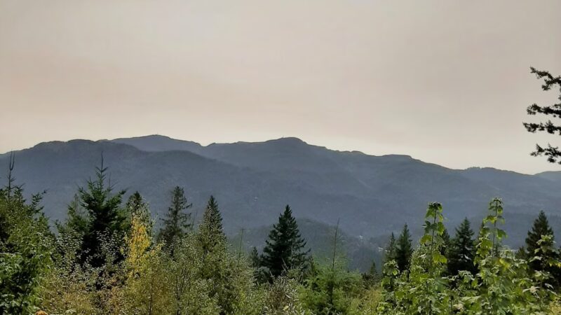 Chanterelle Trailhead - Acme, WA
