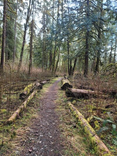 Skookum Creek Bridge & Whatcom Land Trust Hiking Access Point - Acme, WA