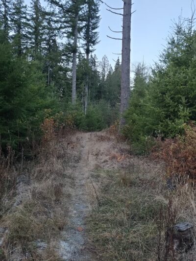 Skookum Creek Bridge & Whatcom Land Trust Hiking Access Point - Acme, WA