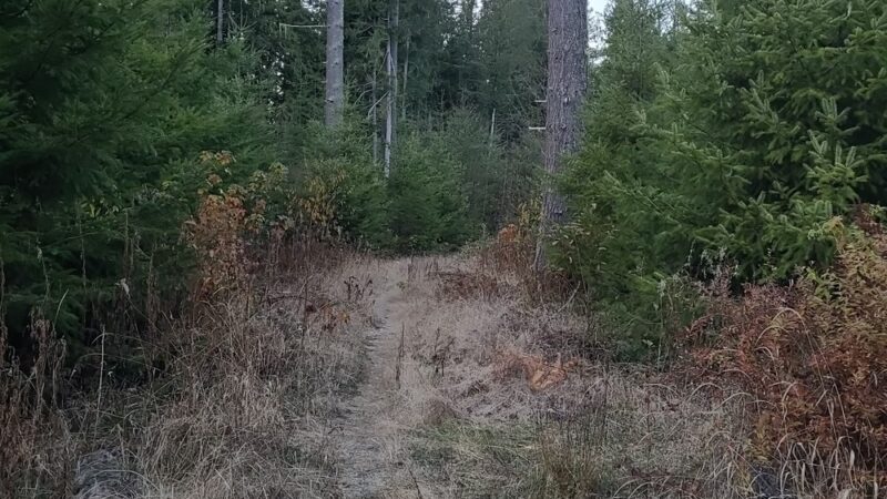 Skookum Creek Bridge & Whatcom Land Trust Hiking Access Point - Acme, WA