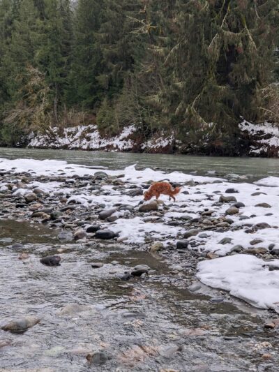Skookum Creek Bridge & Whatcom Land Trust Hiking Access Point - Acme, WA