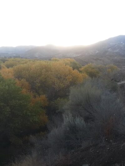 Soledad Canyon RV Resort- Thousand Trails RV Park - Acton, CA