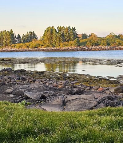 Ingersoll Preserve - Addison, ME