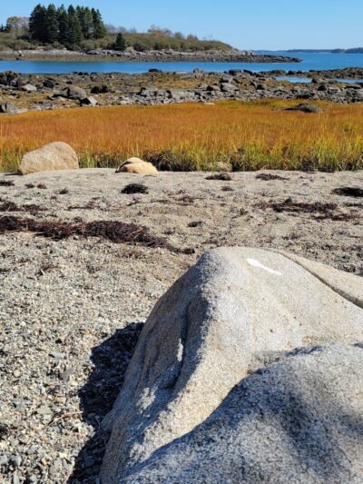 Ingersoll Preserve - Addison, ME