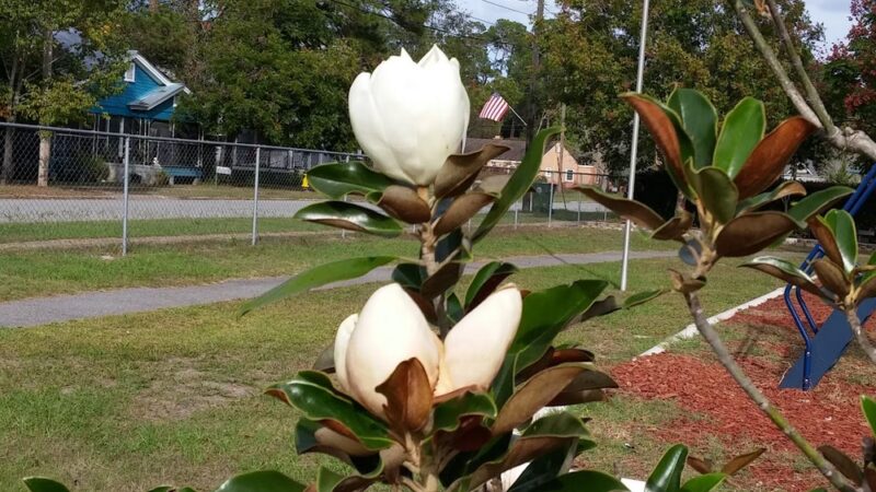 Adel City Park - Adel, GA