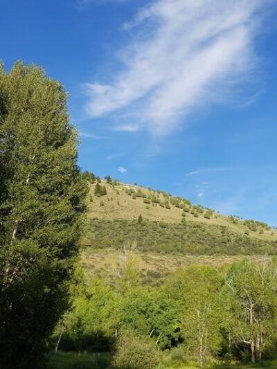 Canyon View Park - Afton, WY