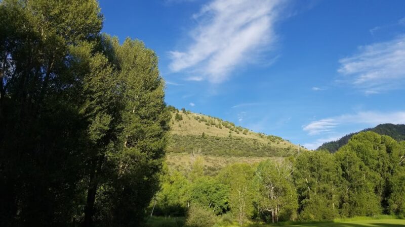 Canyon View Park - Afton, WY
