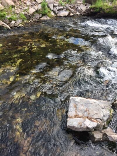 Canyon View Park - Afton, WY