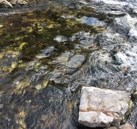 Canyon View Park - Afton, WY