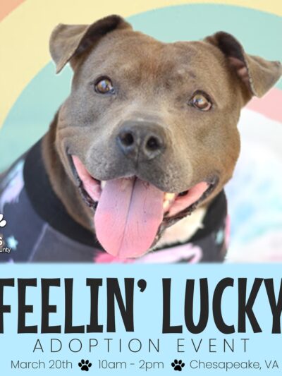 PAWS of Hertford County - Ahoskie, NC