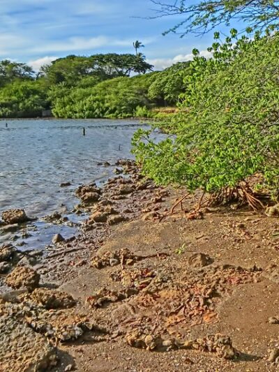 ʻAiea Bay State Recreation Area - Aiea, HI