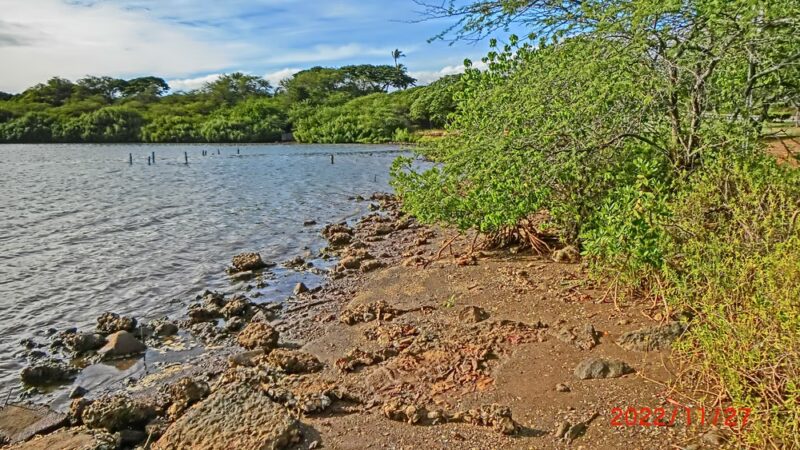 ʻAiea Bay State Recreation Area - Aiea, HI