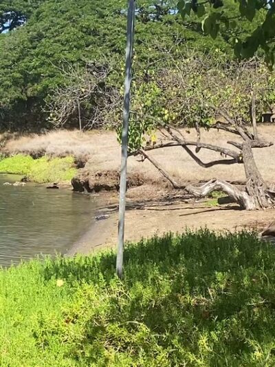 ʻAiea Bay State Recreation Area - Aiea, HI