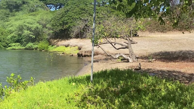 ʻAiea Bay State Recreation Area - Aiea, HI
