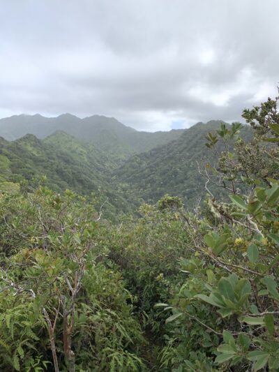 ʻAiea District Park - Aiea, HI