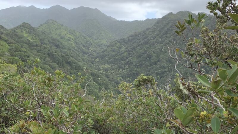 ʻAiea District Park - Aiea, HI