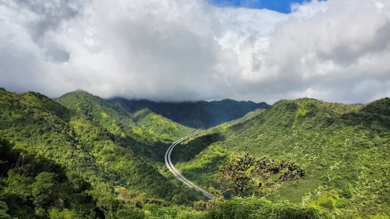 ʻAiea Loop Trailhead - Aiea, HI