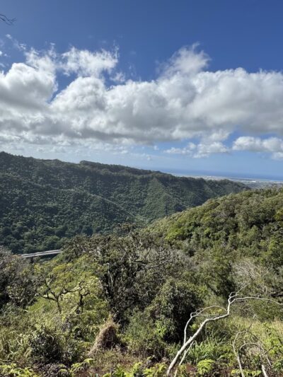 ʻAiea Loop Trailhead - Aiea, HI