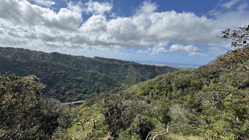 ʻAiea Loop Trailhead - Aiea, HI