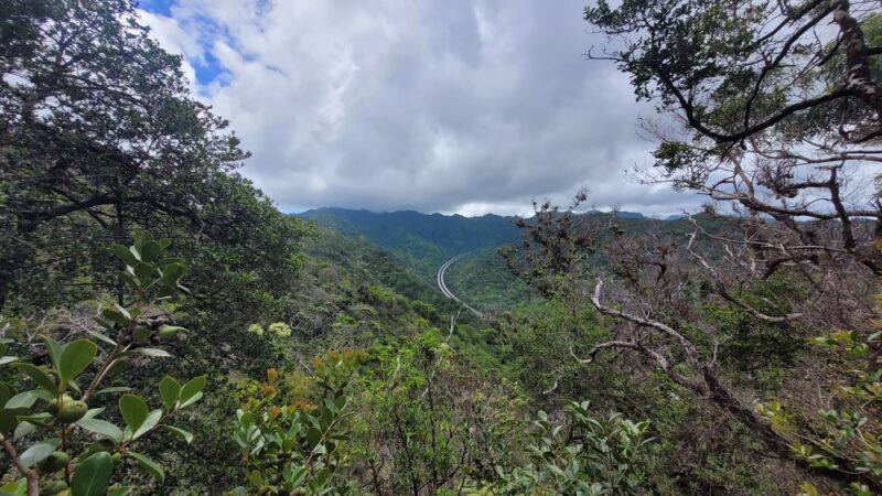 ʻAiea Loop Trailhead - Aiea, HI