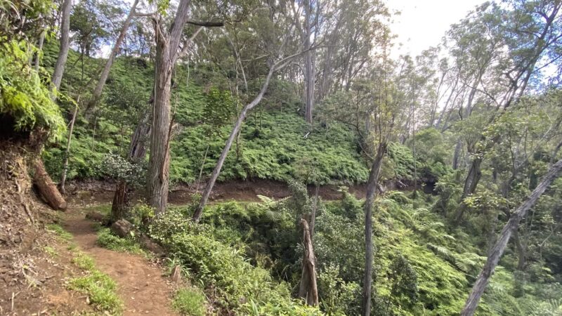 ʻAiea Loop Trailhead - Aiea, HI