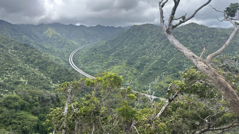 ʻAiea Ridge Trail - Aiea, HI