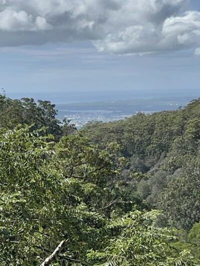 ʻAiea Ridge Trail - Aiea, HI