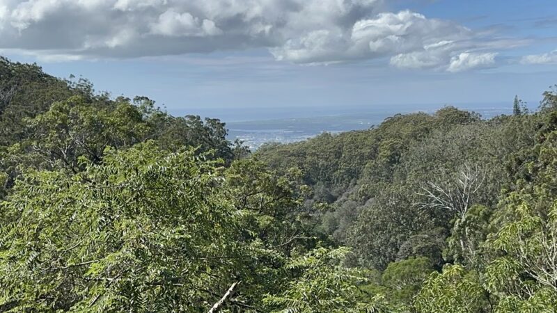 ʻAiea Ridge Trail - Aiea, HI