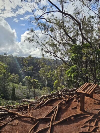 ʻAiea Ridge Trail - Aiea, HI