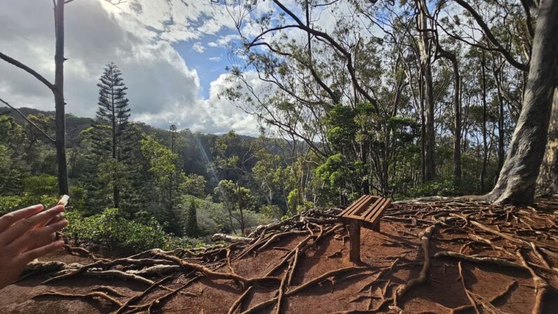 ʻAiea Ridge Trail - Aiea, HI