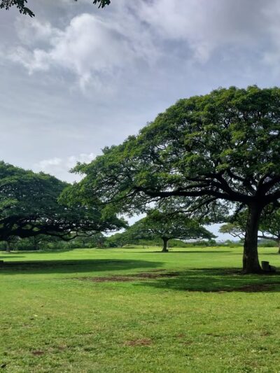 Blaisdell Park - Aiea, HI