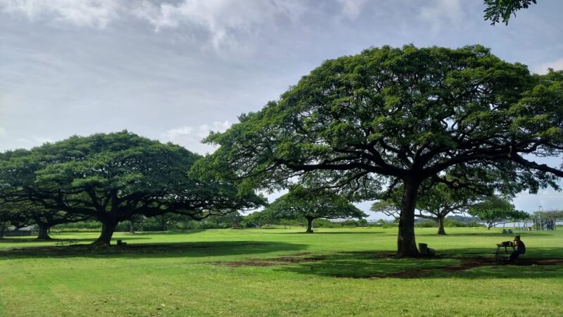 Blaisdell Park - Aiea, HI