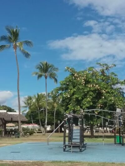 Blaisdell Park - Aiea, HI